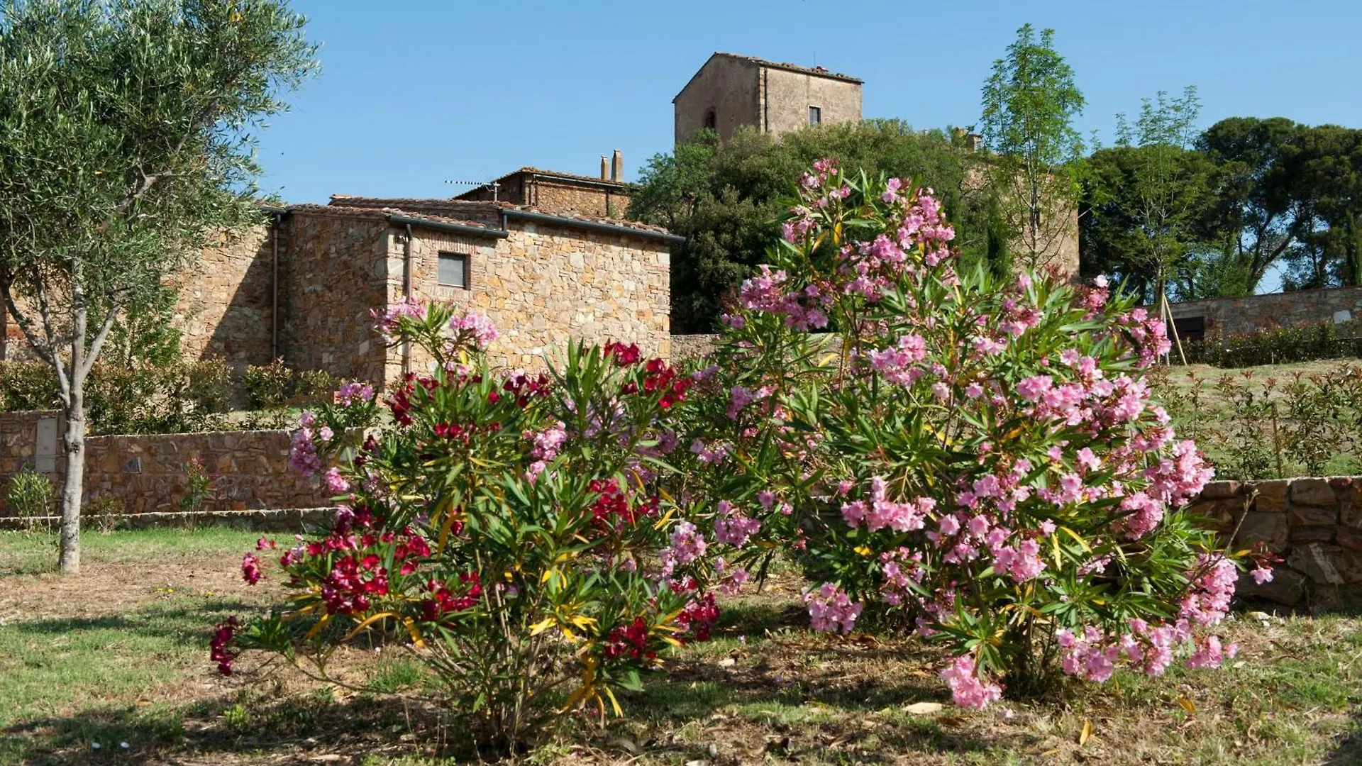 Superior Apartment Mit 2 Schlafzimmern Und Garten Campiglia Marittima
