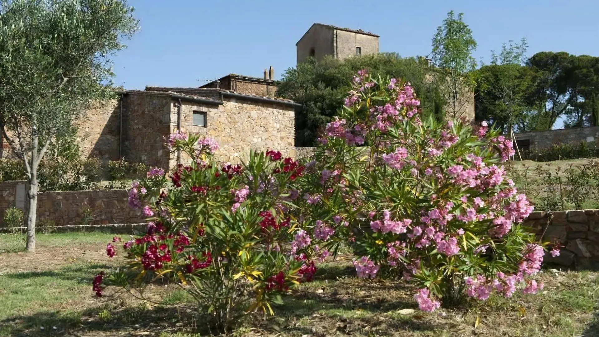 Superior Apartment Mit 2 Schlafzimmern Und Garten Campiglia Marittima İtalya